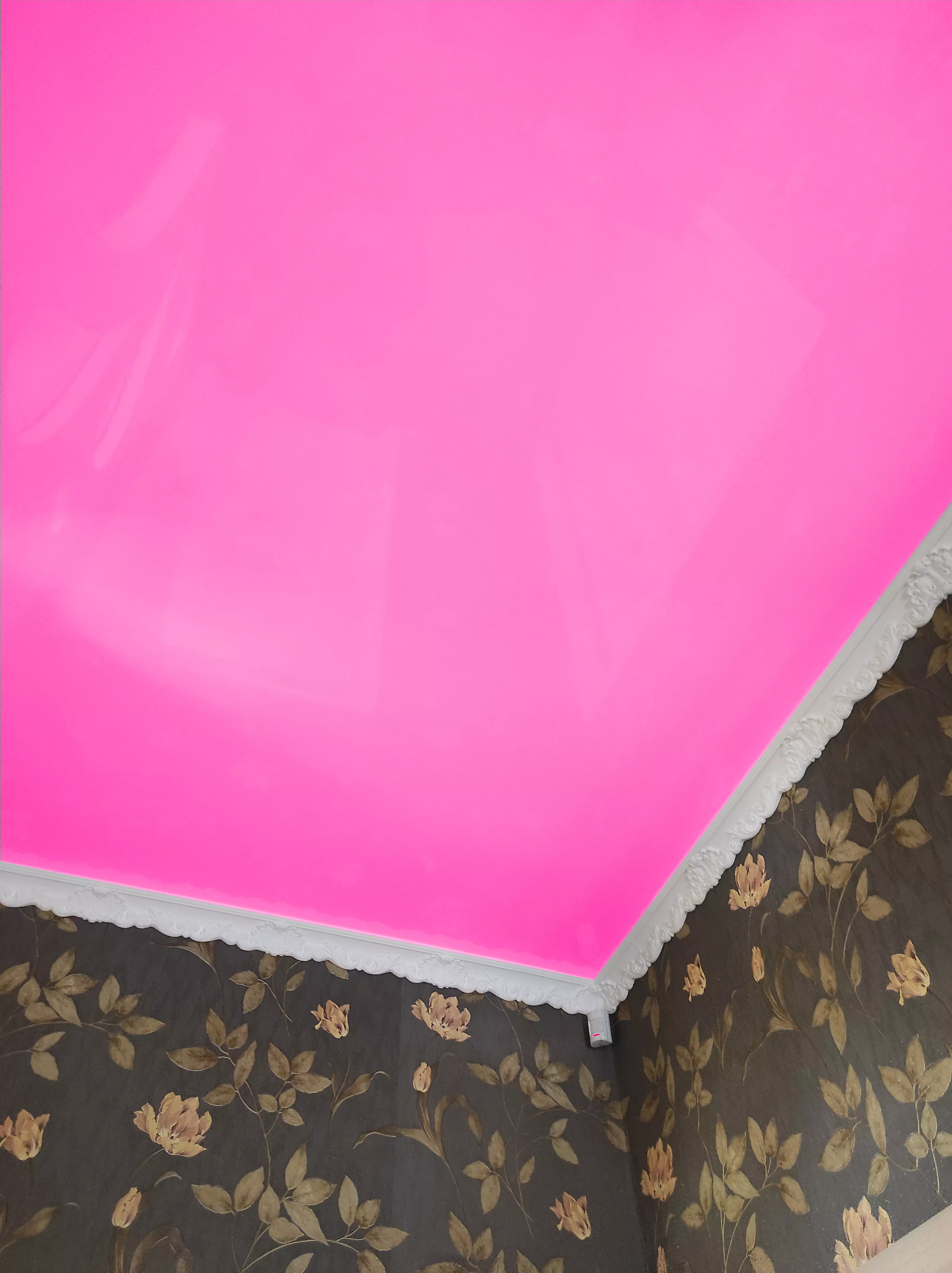 Волгоград, 50 лет Октября, 17, фото 2