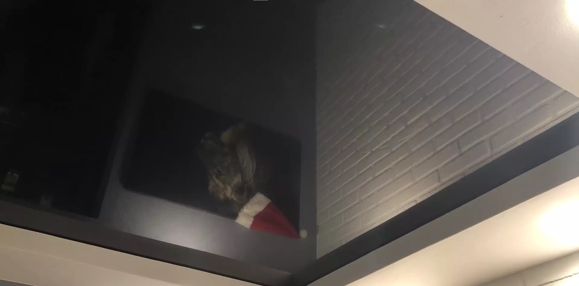 Артем, , фото 3